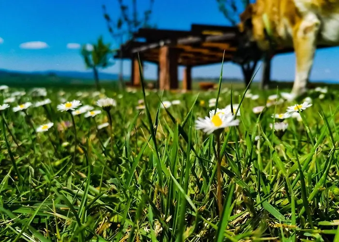 מלון Poderino San Cristoforo לייטיקו