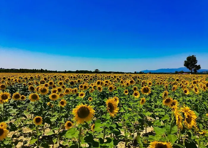 Poderino San Cristoforo מלון 3*