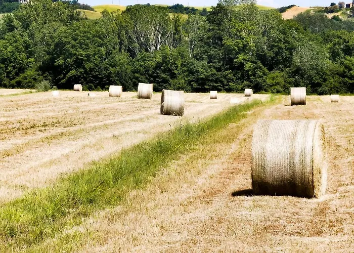 Poderino San Cristoforo 3*